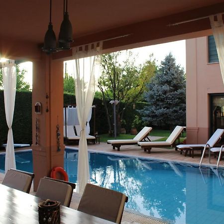4-Seasons Pool Villa Near Meteora Tríkala Dış mekan fotoğraf