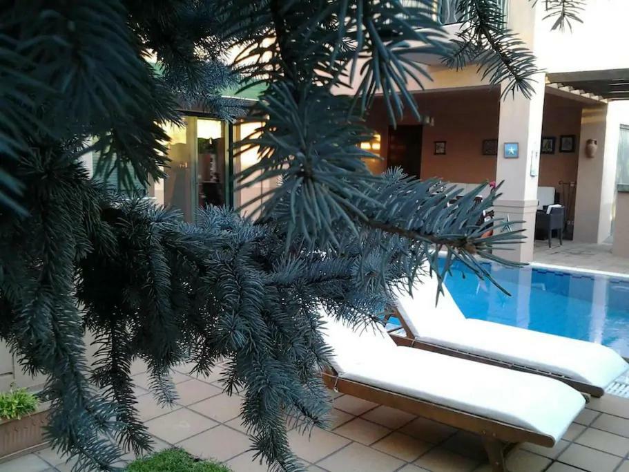 4-Seasons Pool Villa Near Meteora Tríkala Dış mekan fotoğraf