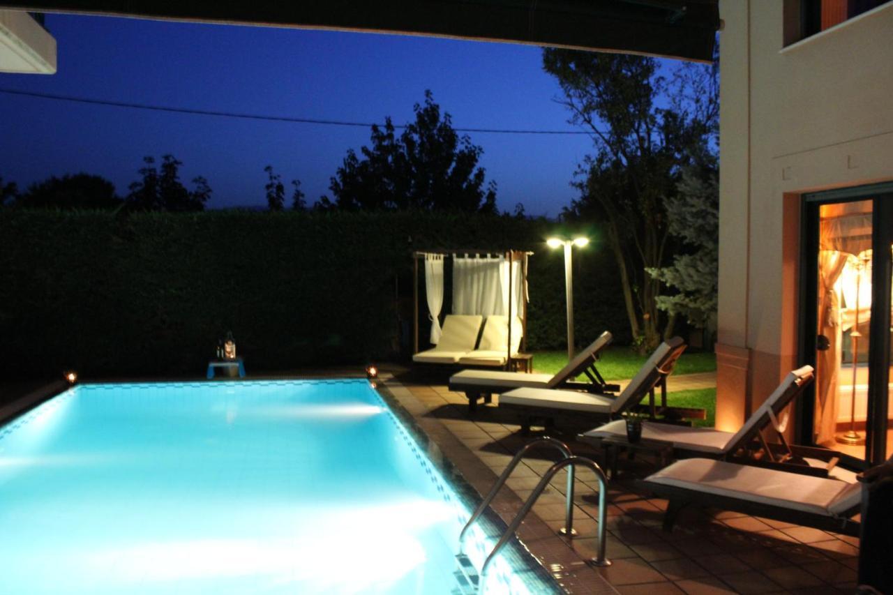 4-Seasons Pool Villa Near Meteora Tríkala Dış mekan fotoğraf